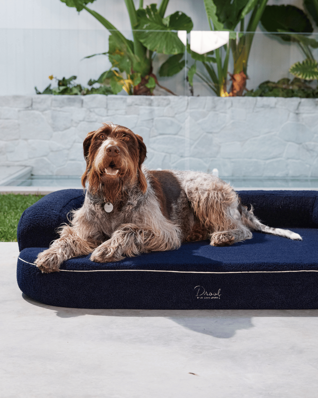 SpineAlign™ Dream Bed