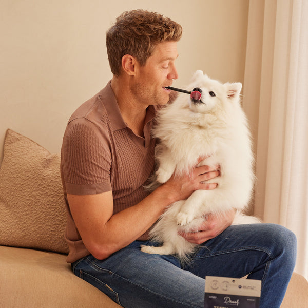 Dog Sticks Feeding Guide