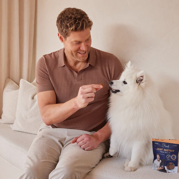 Dog Treat Balls Feeding Guide