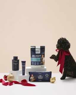 The Christmas Slay Gift Pack