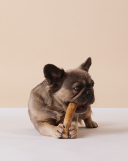 The Christmas Play Gift Pack