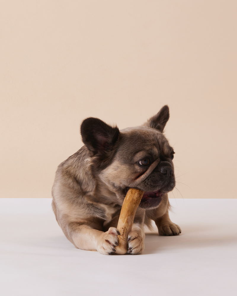 The Christmas Play Gift Pack