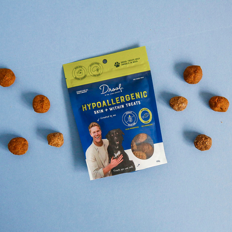 Hypoallergenic Treats (Salmon)