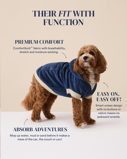 The Towel Hoodie - Medium