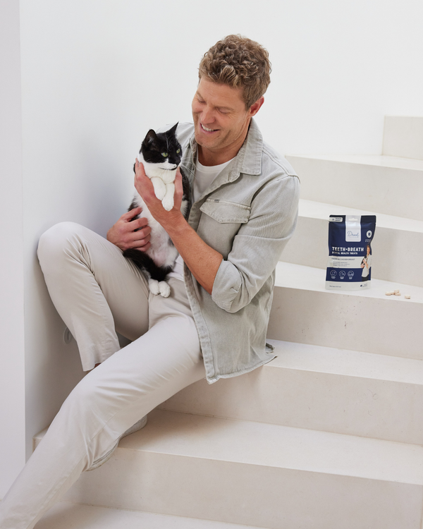 Teeth + Breath Cat Freeze Dried Treats