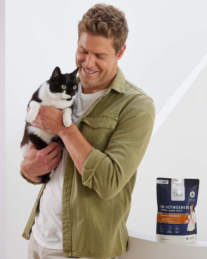 In-Betweeners Furball + Gland Freeze Dried Cat Treats