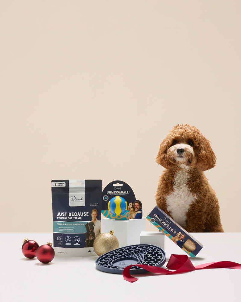 The Christmas Play Gift Pack