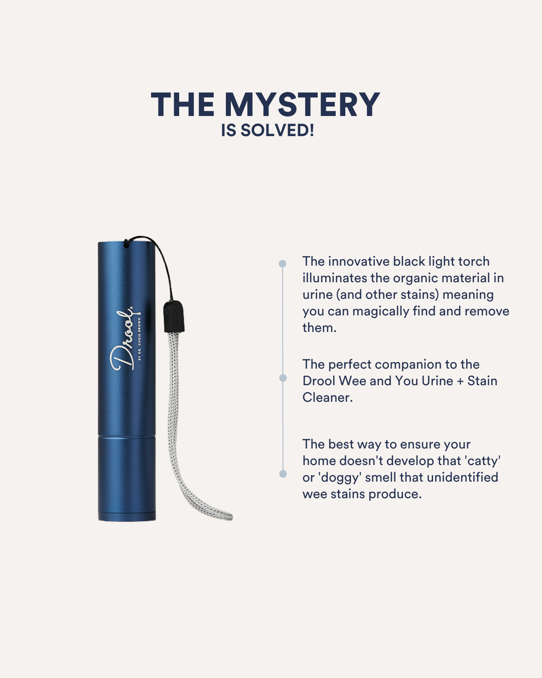 The Wee Detector Torch