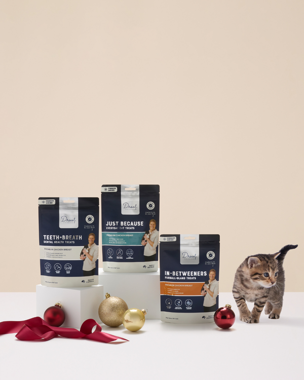 The Christmas Catisfaction Gift Pack