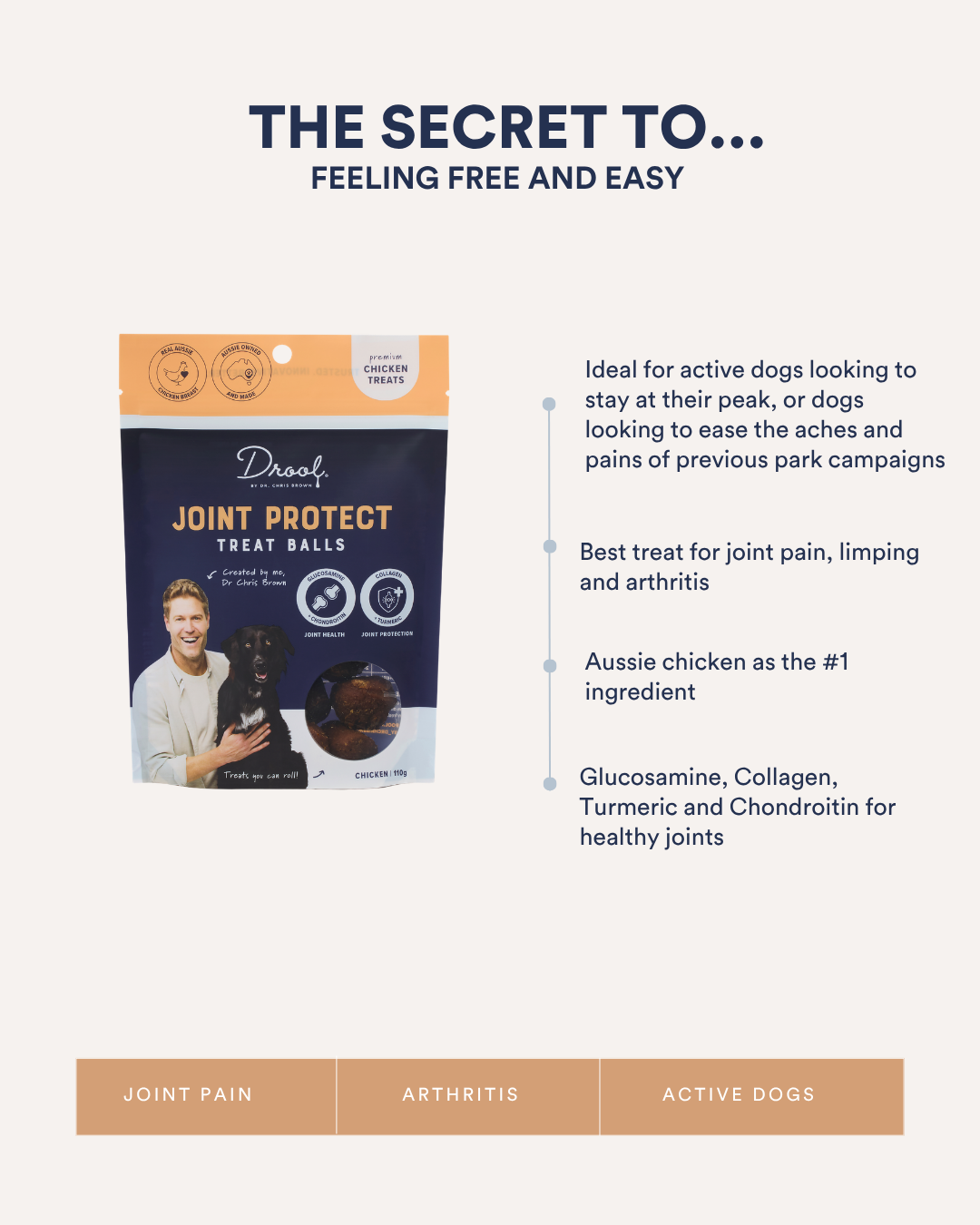 Joint Protect Treats