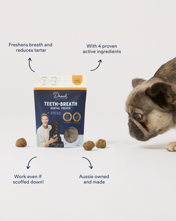 Teeth + Breath Dental Treat Peanut Butter
