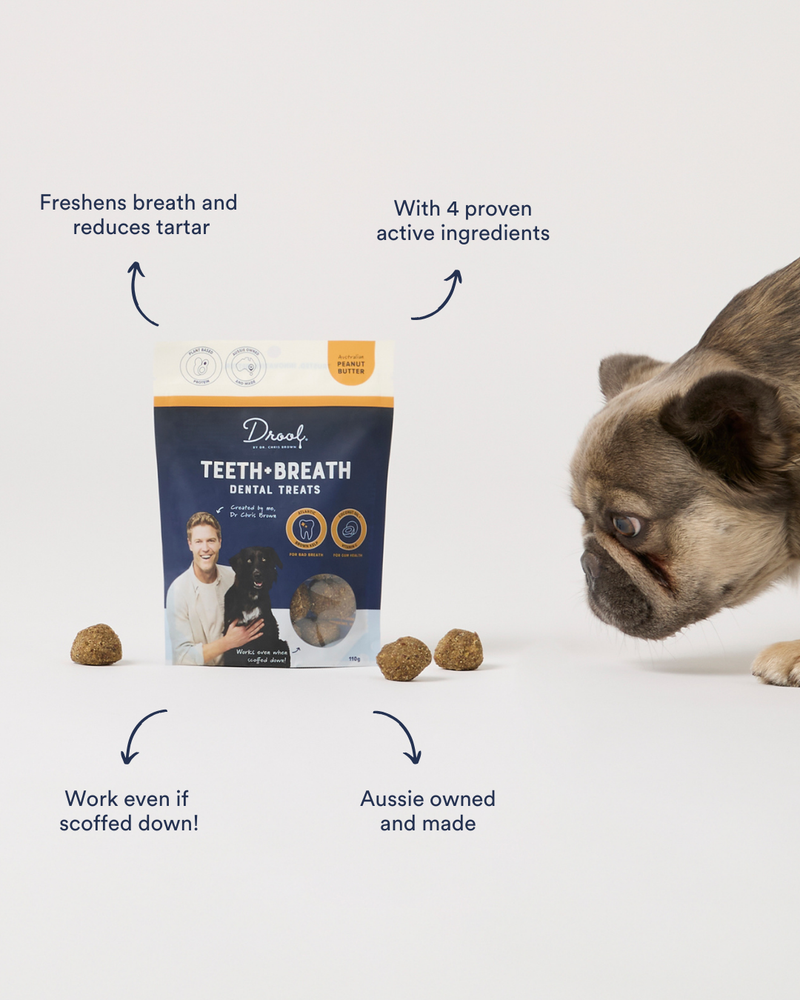 Teeth + Breath Dental Treat Peanut Butter