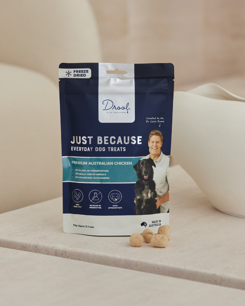 The Christmas Play Gift Pack