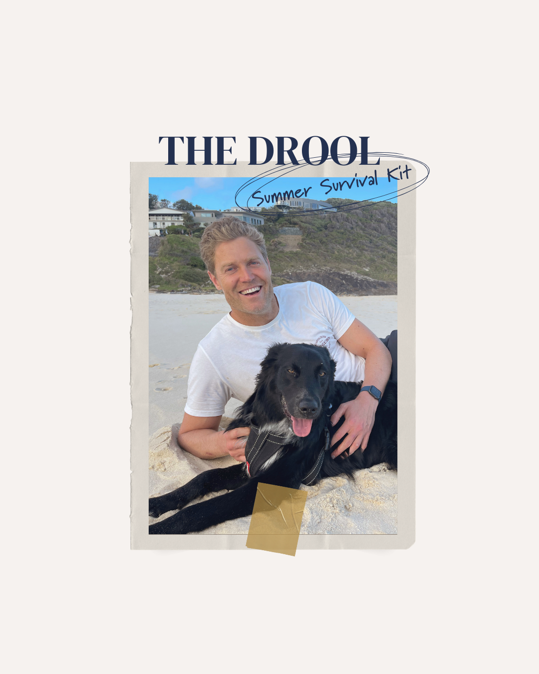 PRODUCT CARD: Holiday