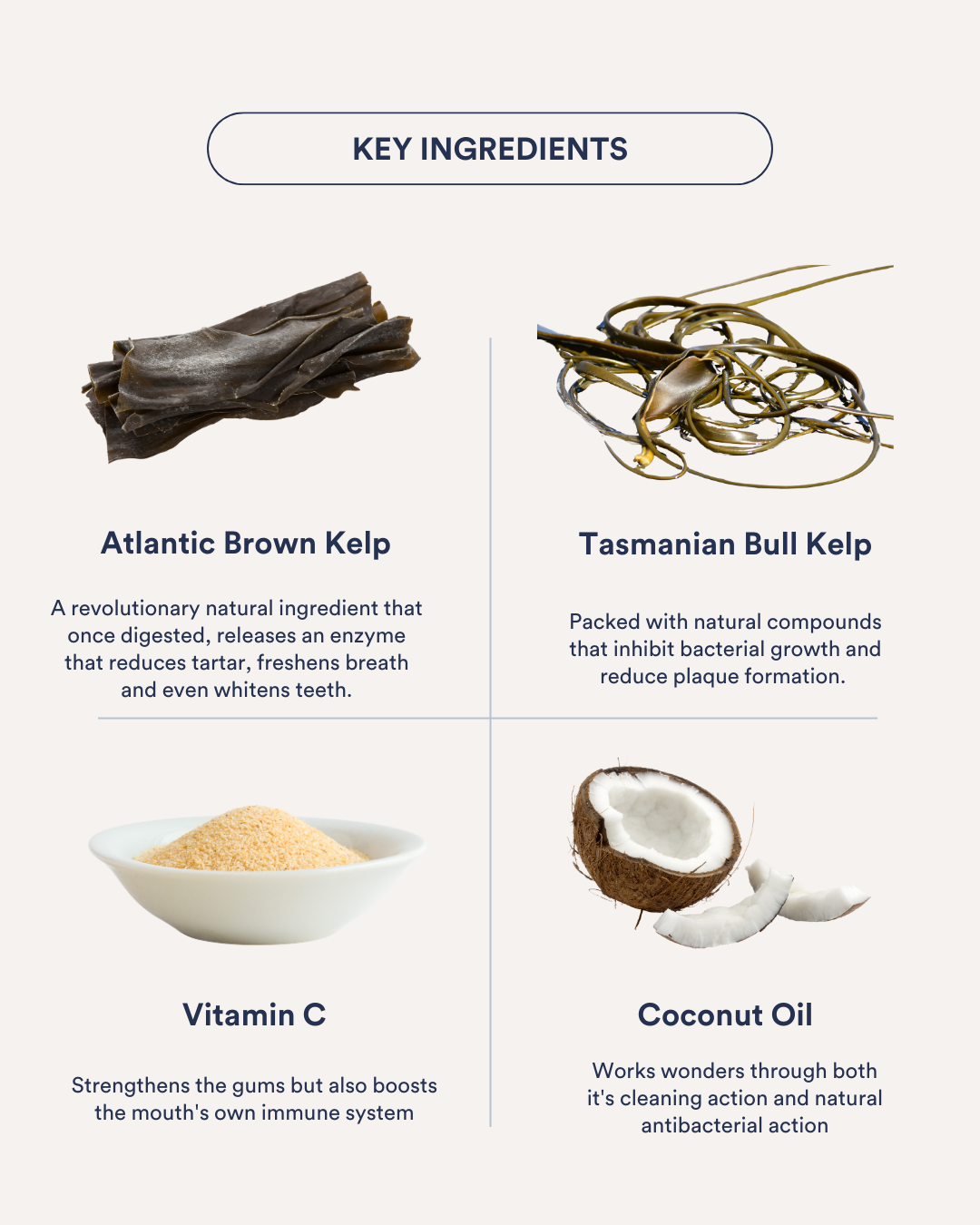 Teeth + Breath Dental Treat Peanut Butter