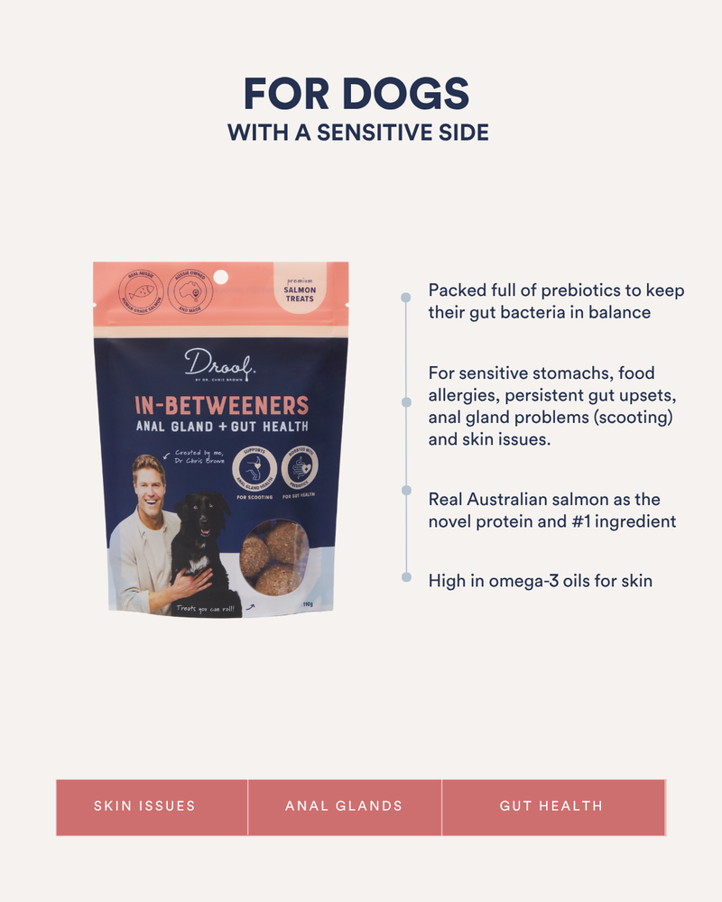 In-Betweeners Gland + Gut Health Treats Salmon