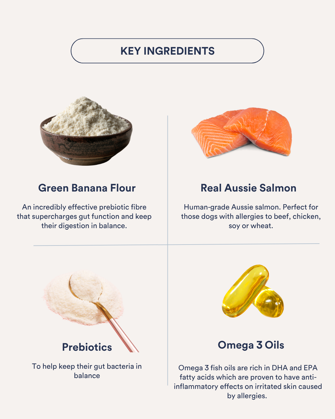 In-Betweeners Gland + Gut Health Treats Salmon