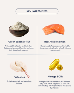 In-Betweeners Gland + Gut Health Treats Salmon