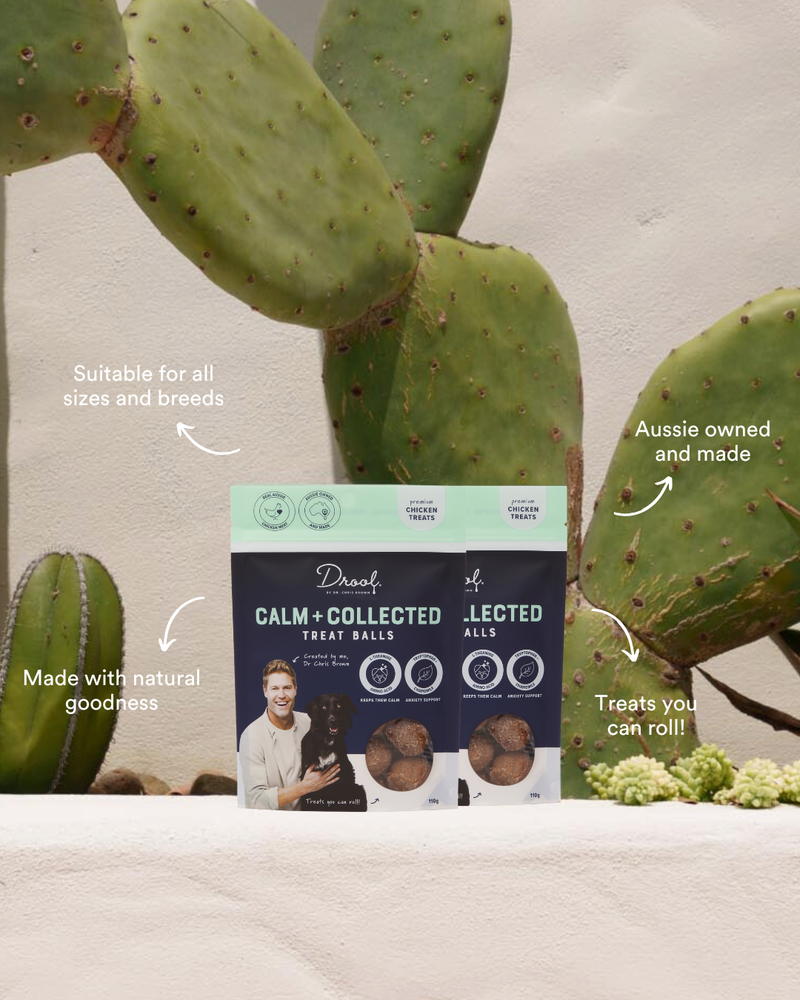 Calm + Collected Treats Chicken