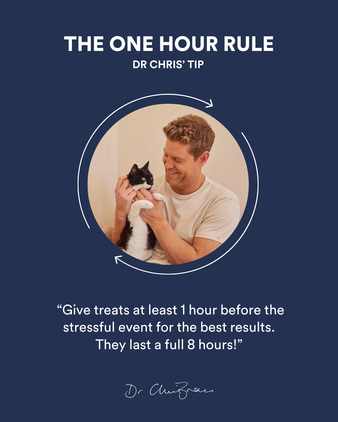 Calm + Collected Cat Treats