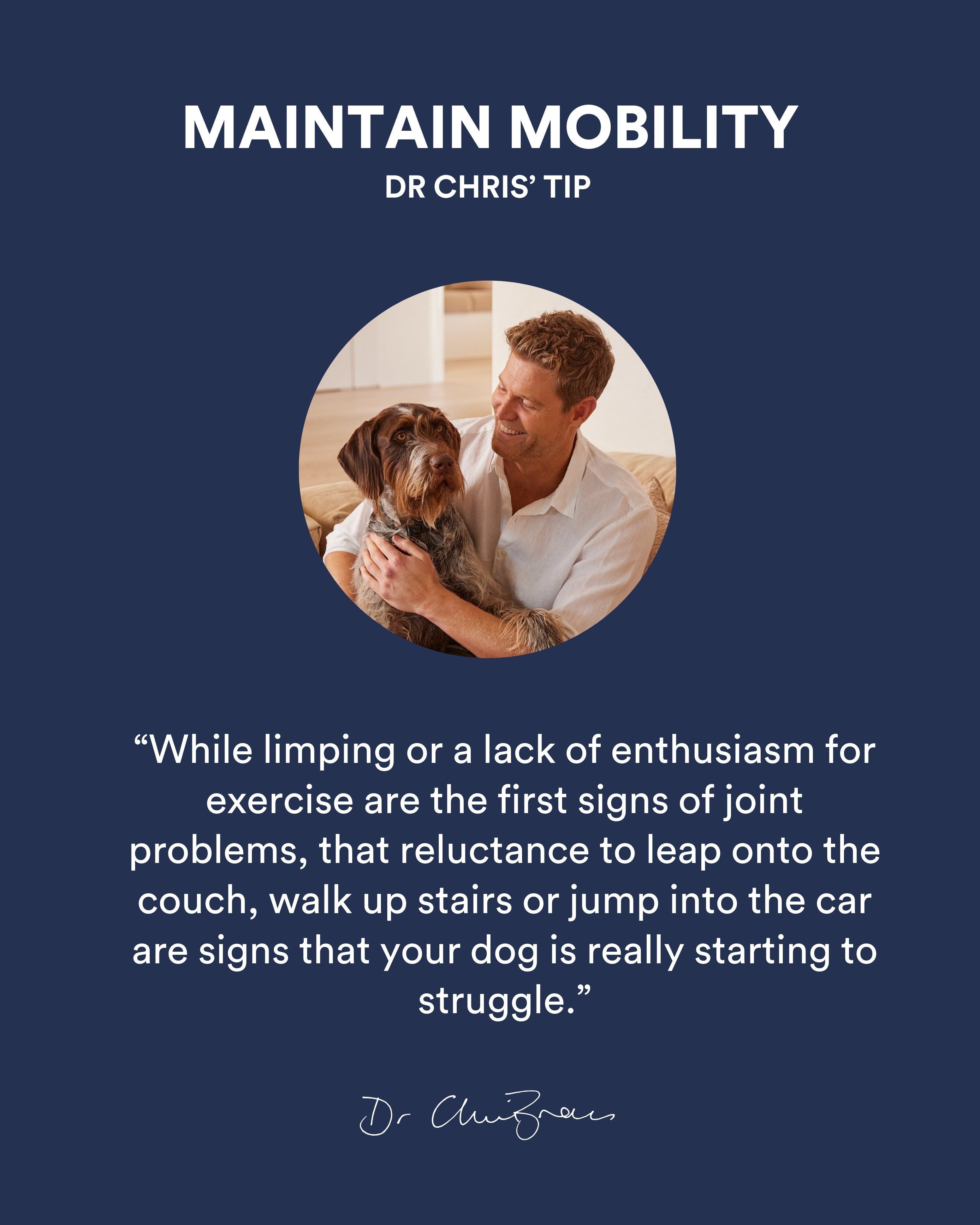 Joint Protect Treats