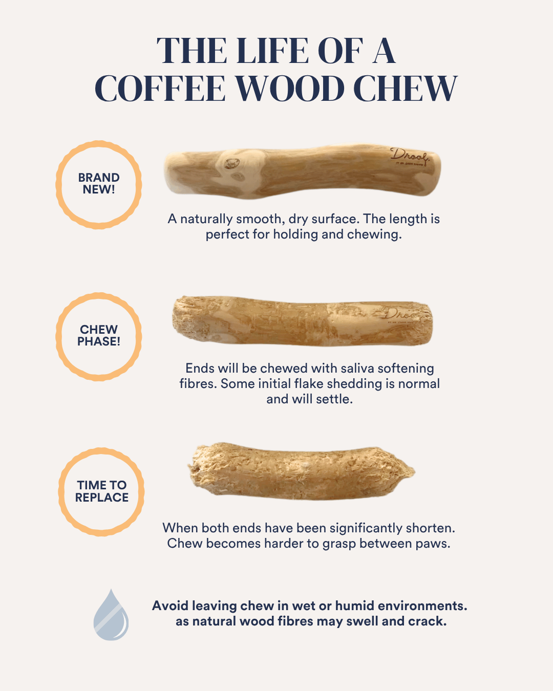 Coffee Wood Chew
