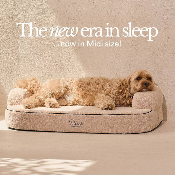 NEW! The SpineAlign™ Dream Bed is now available in Midi (medium)