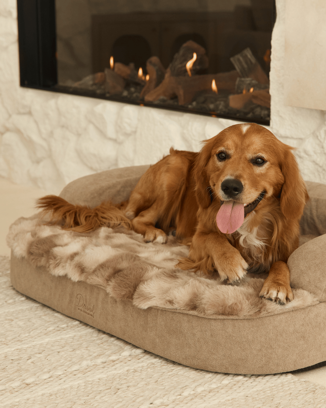 SpineAlign™ Dream Bed
