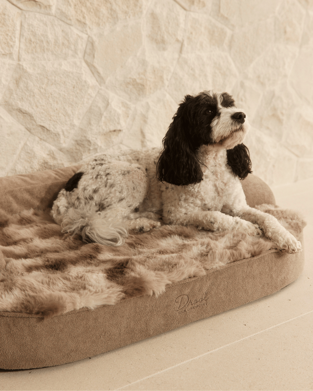 SpineAlign™ Dream Bed