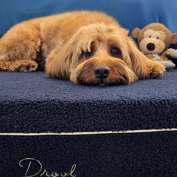 Humphrey