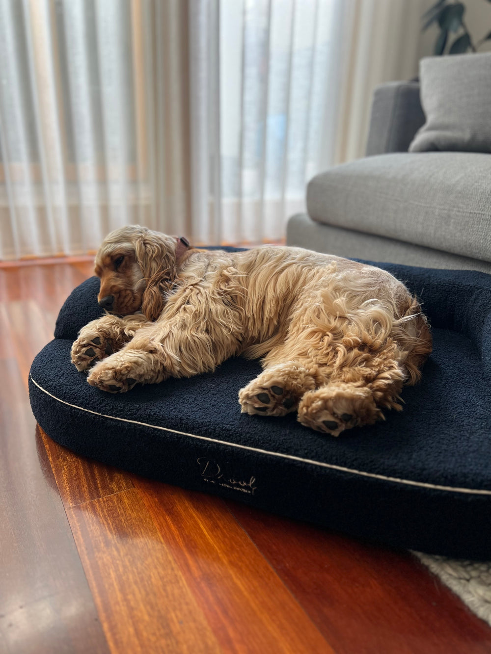 Leni, Pocitó Navy Bouclé