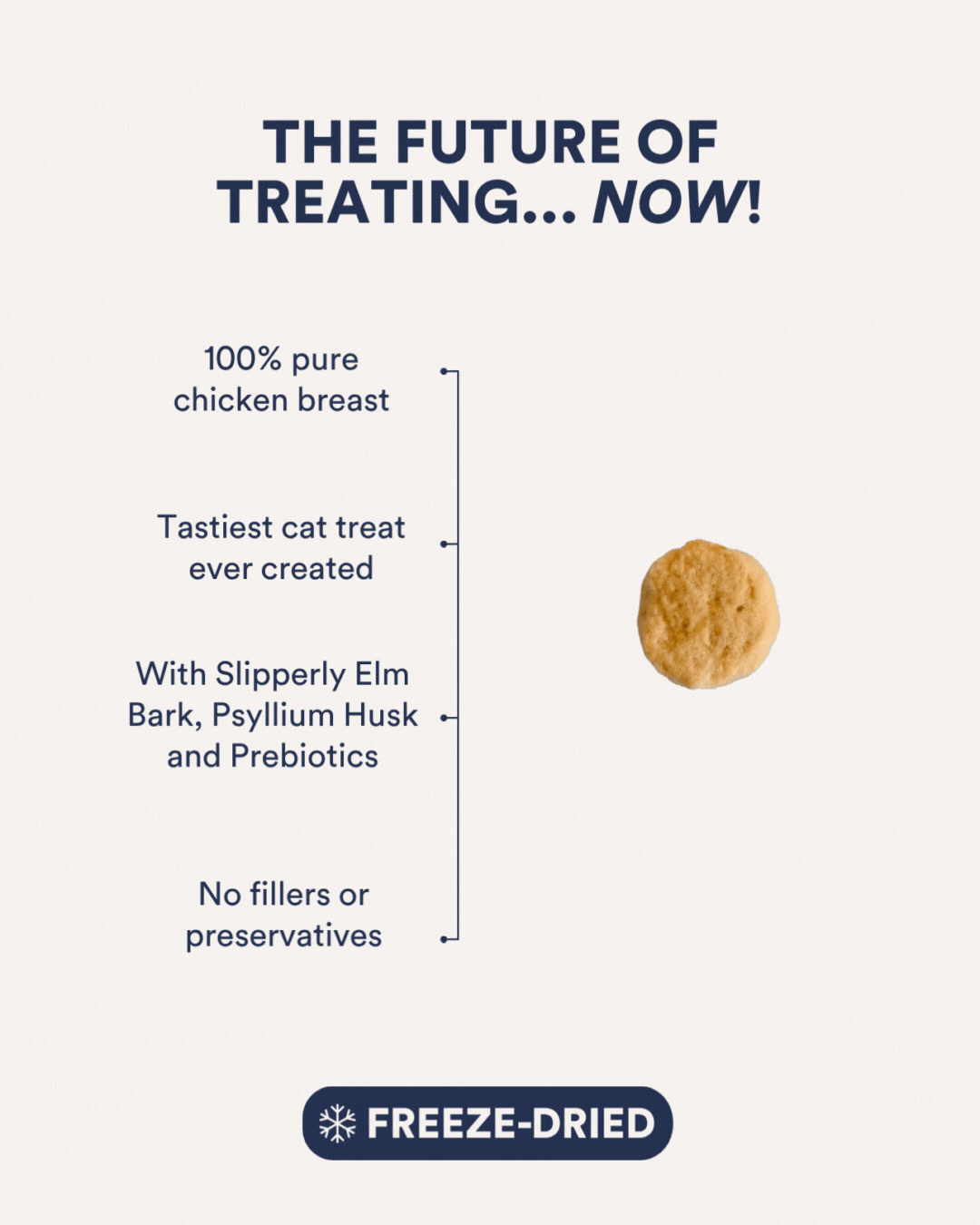 In-Betweeners Furball + Gland Freeze Dried Cat Treats