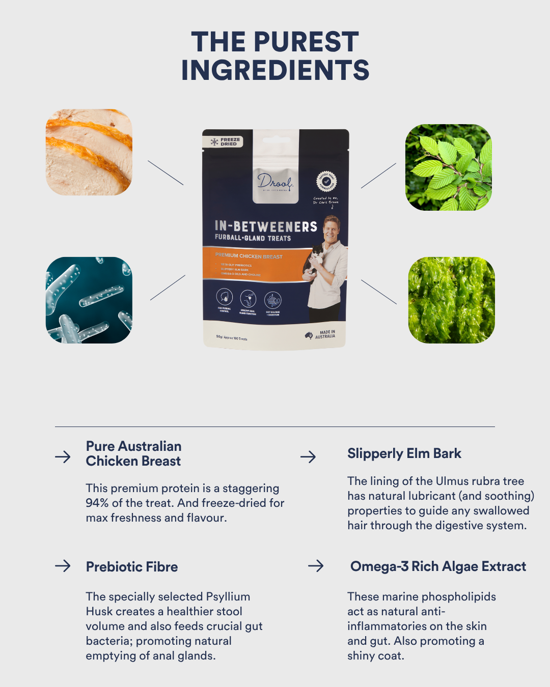 In-Betweeners Furball + Gland Freeze Dried Cat Treats