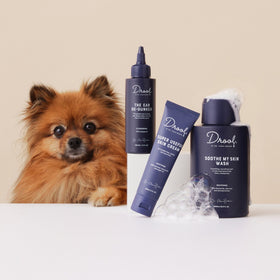 Bundles by Dr. Chris