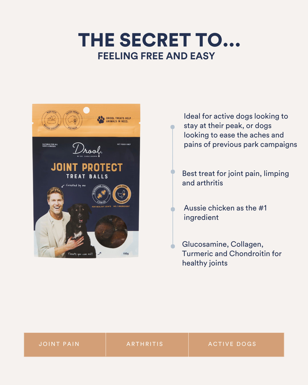 Joint Protect Treats