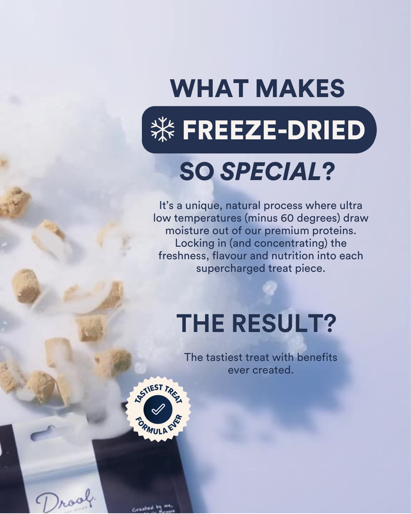 Just Because Freeze Dried Dog Treats