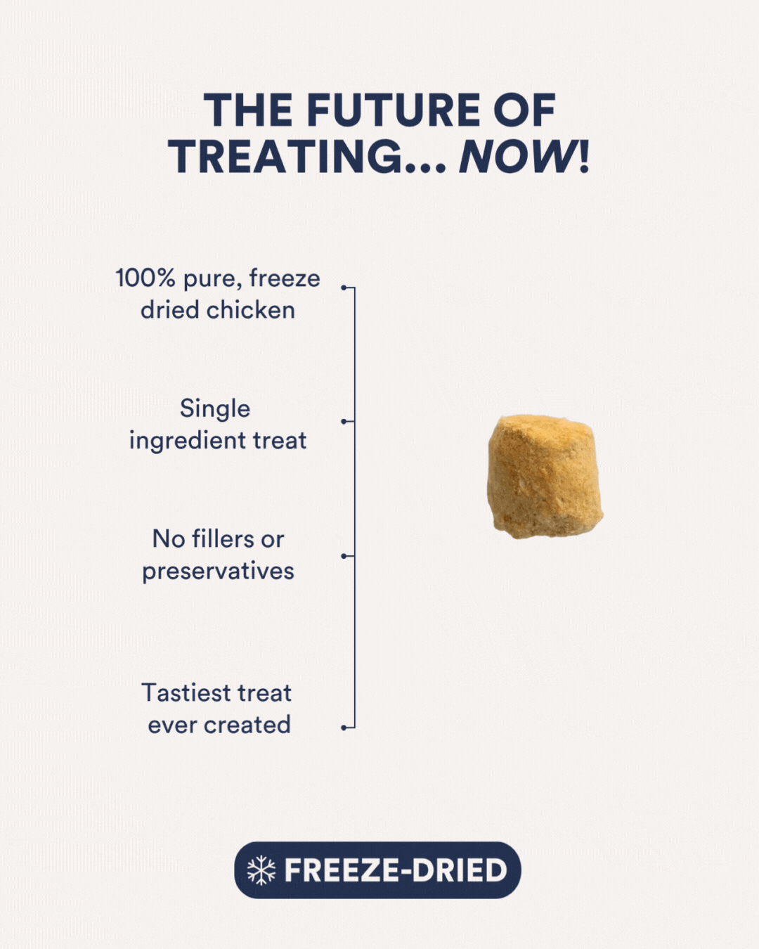 Just Because Freeze Dried Dog Treats