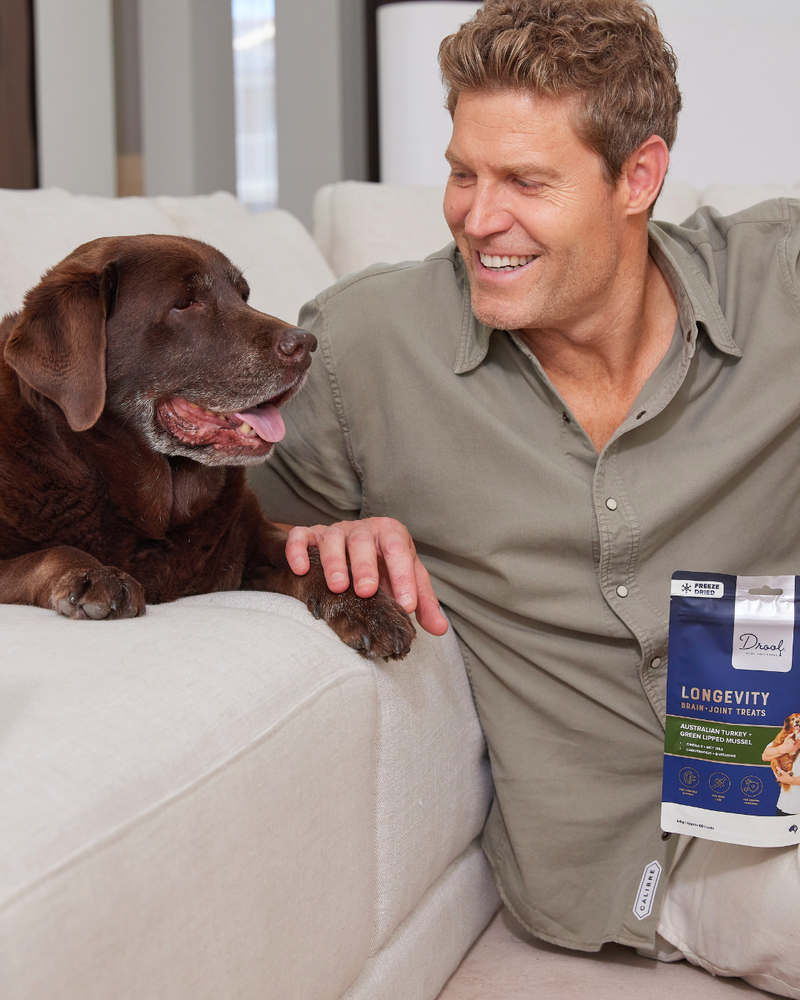 Longevity Brain + Joint Freeze Dried Dog Treats