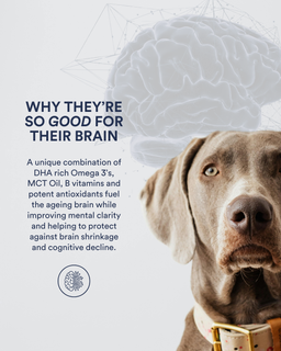 Longevity Brain + Joint Freeze Dried Dog Treats