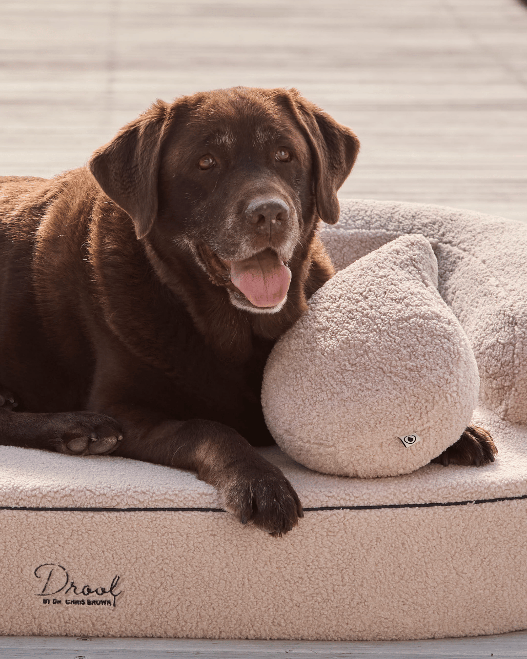 The Comfort Pillow (Oat)