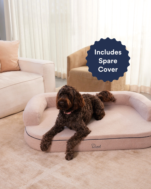 The Bed + Spare Cover Bundle. Size - Grandé