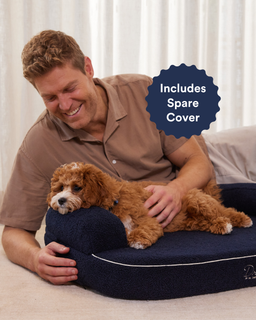 The Bed + Spare Cover Bundle. Size - Pocito