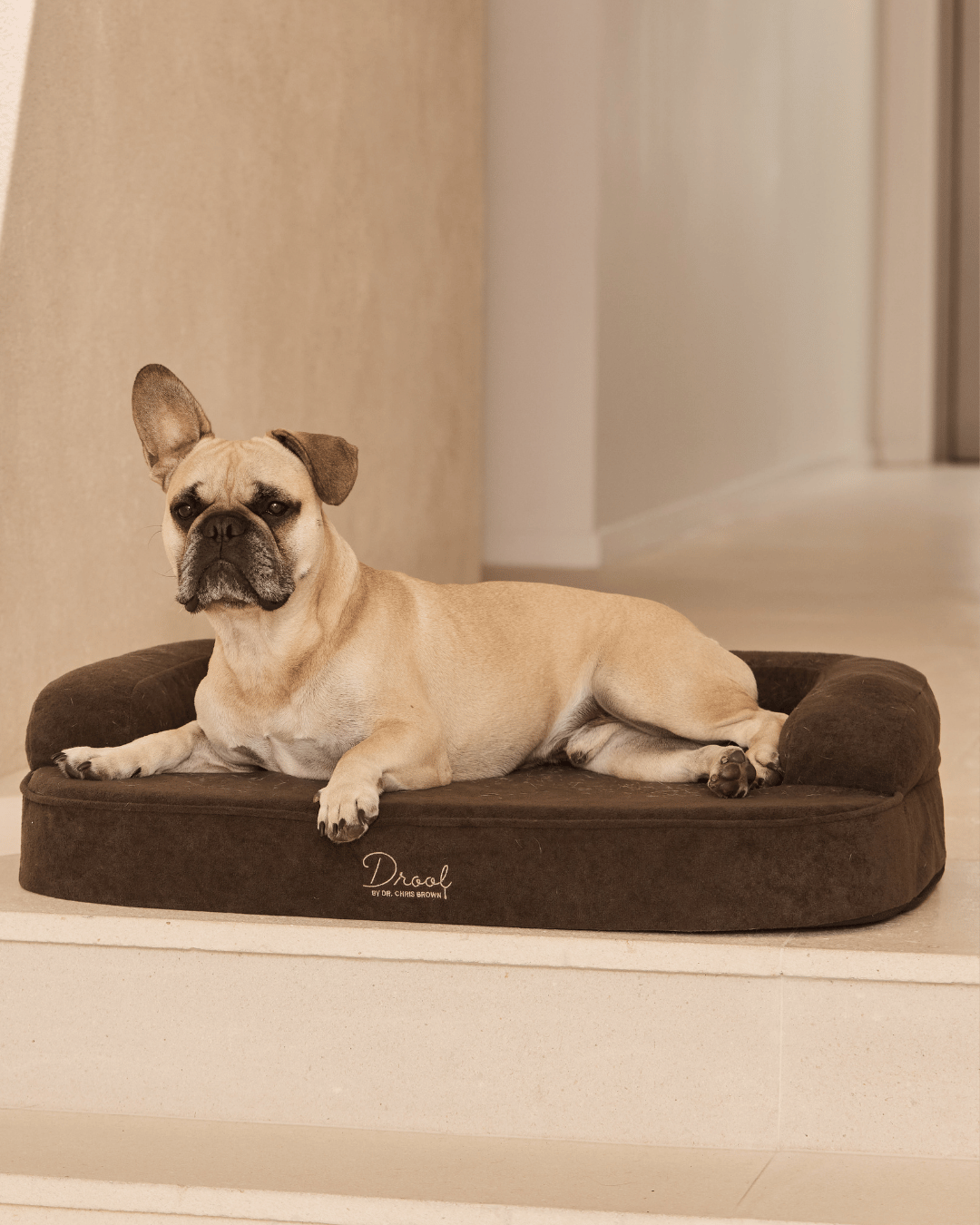 SpineAlign™ Dream Bed