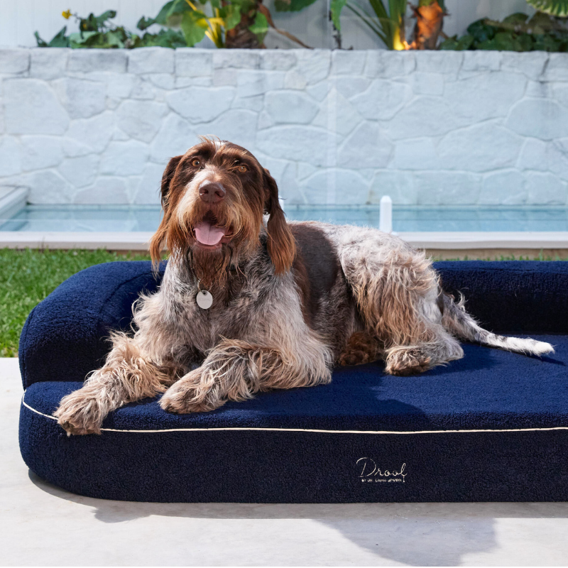 Desi, Grandé Navy Bouclé