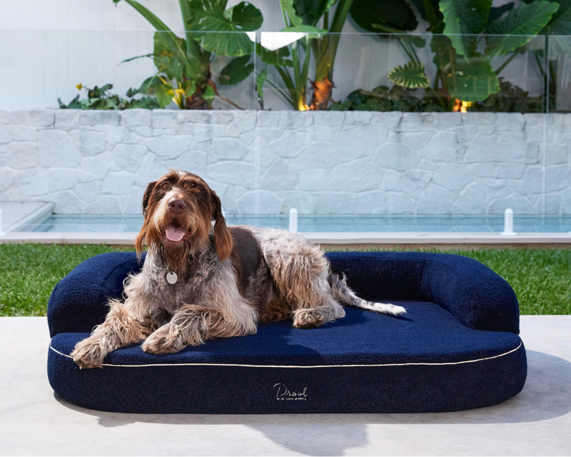 Spare Bouclé Cover - Grandé Navy