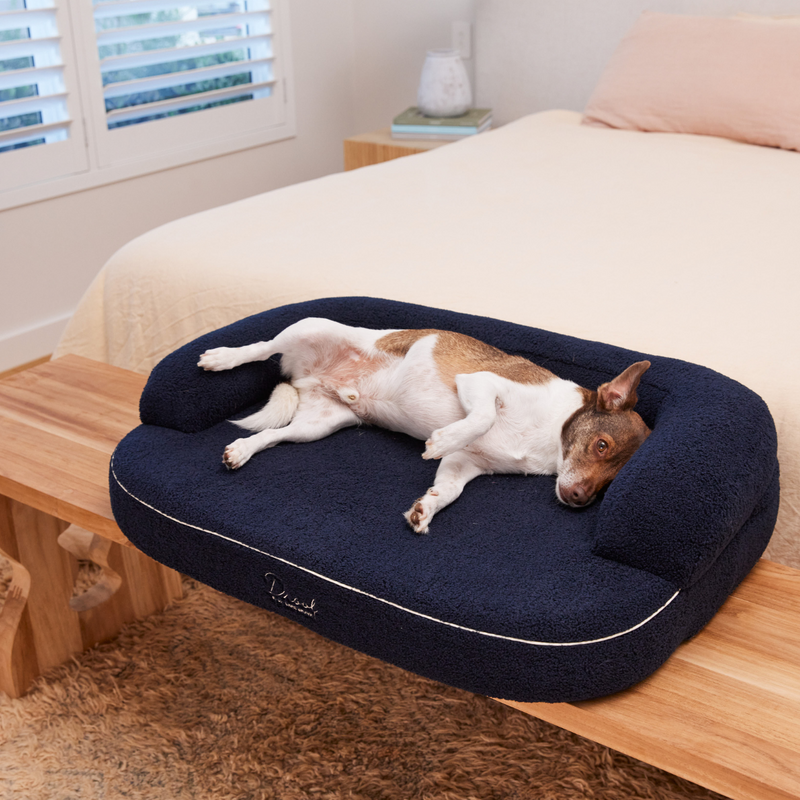 Spare Bouclé Cover - Pocitó Navy