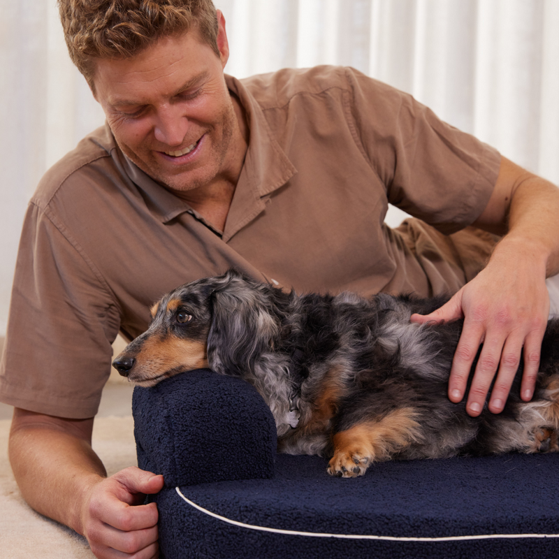 Spare Bouclé Cover - Pocitó Navy