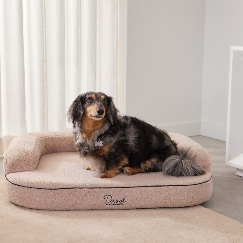 Spare Bouclé Cover - Pocitó Oat