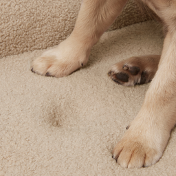 Spare Bouclé Cover - Pocitó Oat
