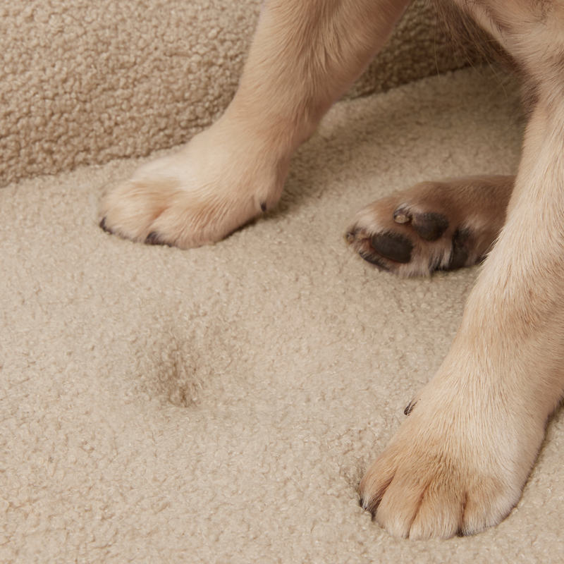 Spare Bouclé Cover - Pocitó Oat